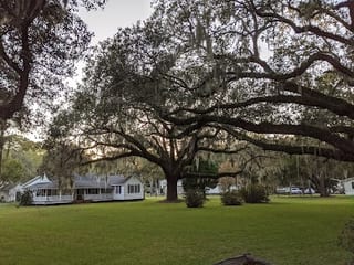 Kilkenny Marina (sav)