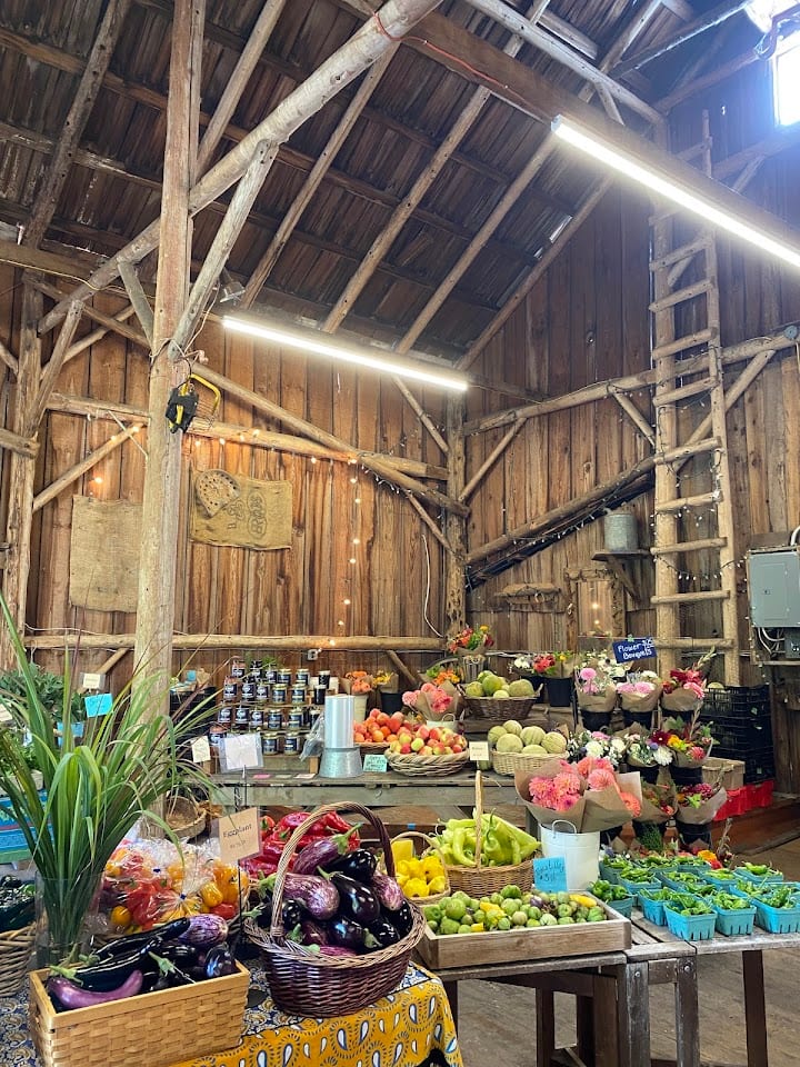Kingfisher Market