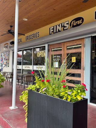 Fins First