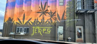 Terps Dispensary