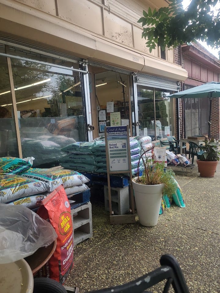 Nouvaux Market