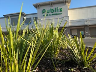 Publix