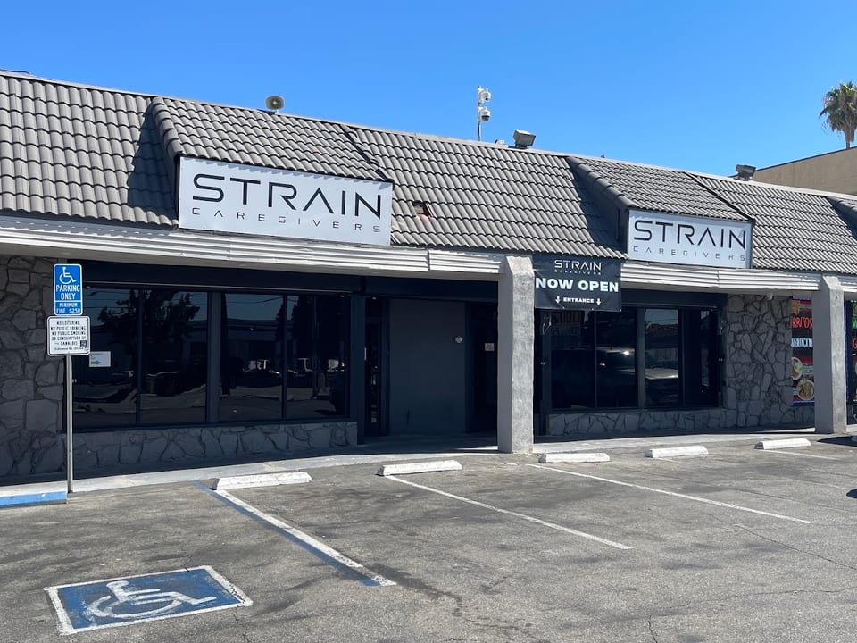 Strain Balboa Caregivers