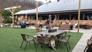 Shy Bear Brewing