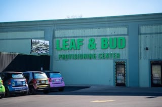 Leaf & Bud