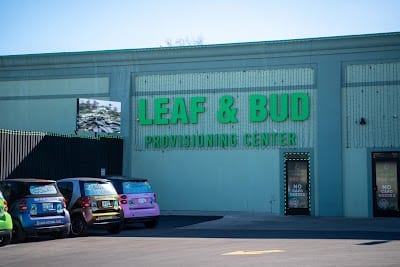 Leaf & Bud