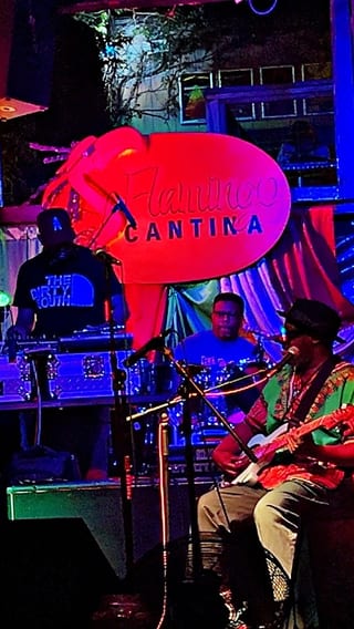 Flamingo Cantina