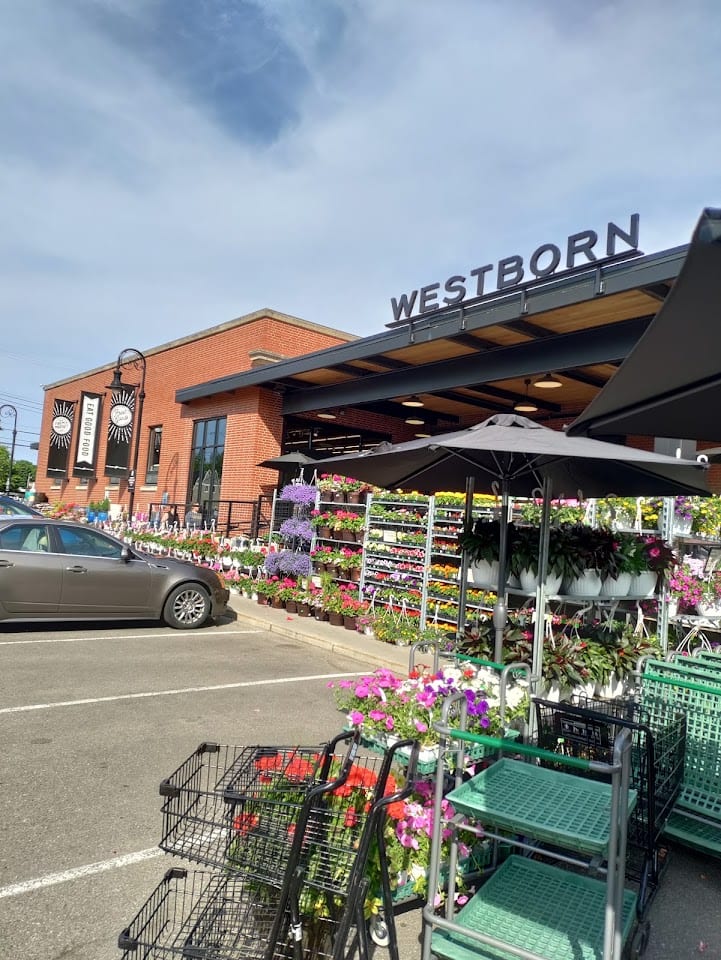 Westborn Market - Plymouth