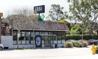 Erba