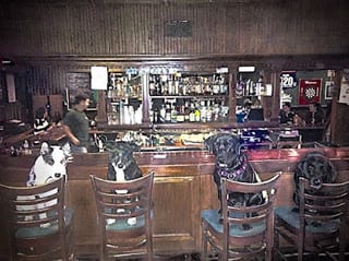 O Donnells Pub
