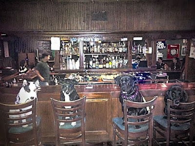 O Donnells Pub