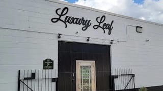 Luxury Leaf