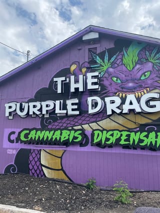 The Purple Dragon