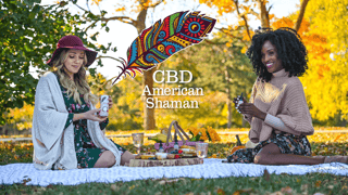 American Shaman St Pete Beach 4715 Gulf Blvd