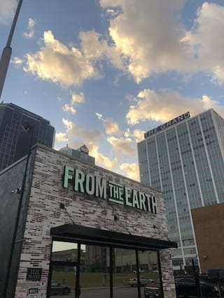 From The Earth 