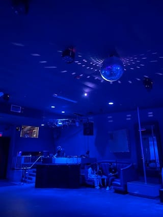 Bar Fly