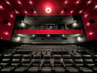 The Last Picture House