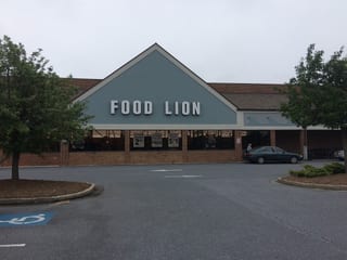 Food Lion #1313