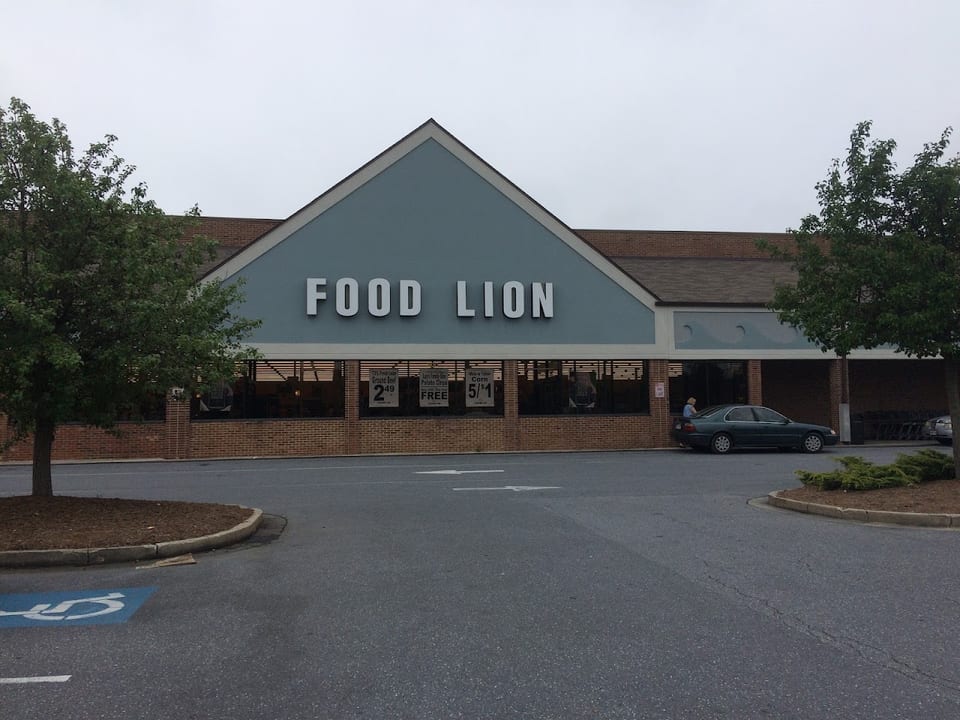 Food Lion #1313