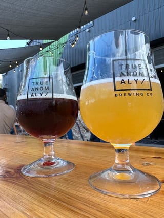 True Anomaly Brewing