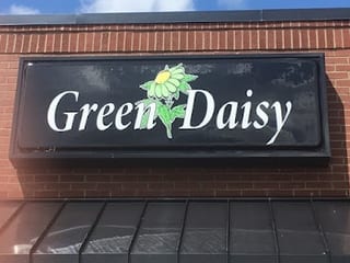 Green Daisy