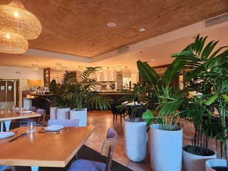 Arden Waikiki