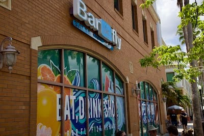 Bar Fly - Saltwater Grill