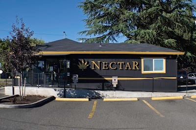 Nectar - Hillsboro