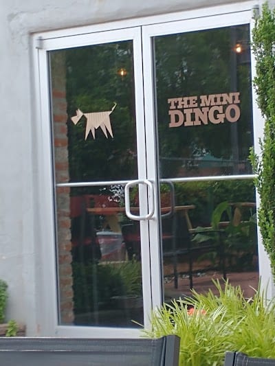 THE MINI DINGO
