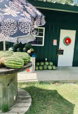 Twin pine homestead