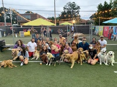 Doggos Park And Pub