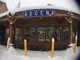 Ascent Mammoth