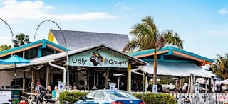 The Ugly Grouper
