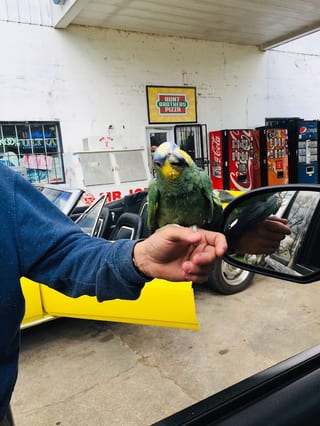 Gas Stop