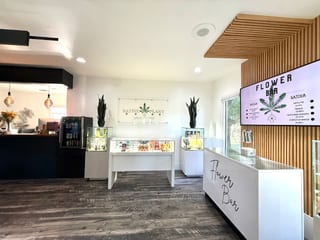 Native Plant CBD & Wellness
