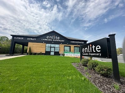 Enlite - Springfield