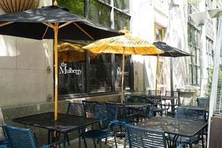 Mulberry