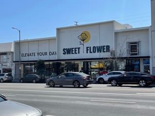 Sweet Flower Westwood