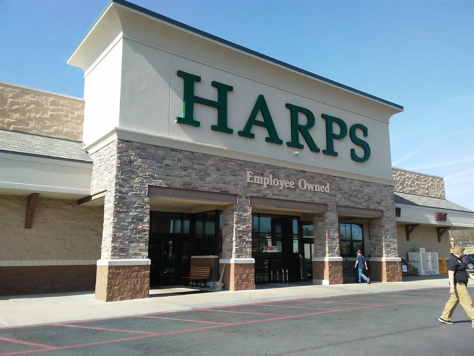 Harp S #165