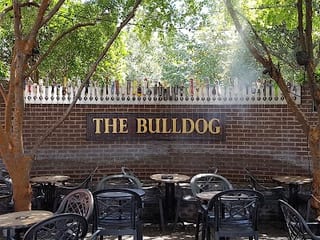 The Bull Dog