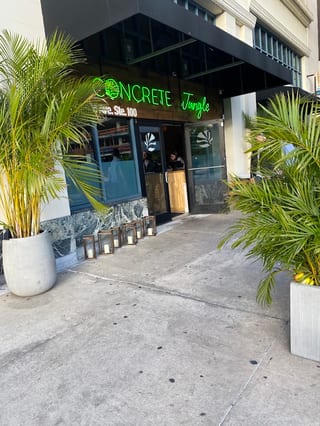 Concrete Jungle