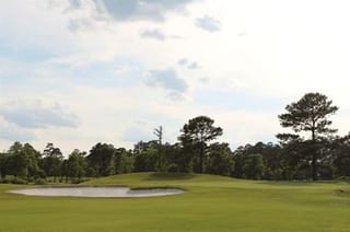 Honey Bee Golf Club #0