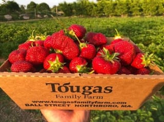 Tougas Family Farms