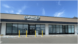 Curaleaf Stamford