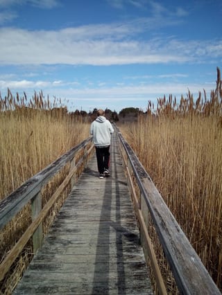 Dune Road