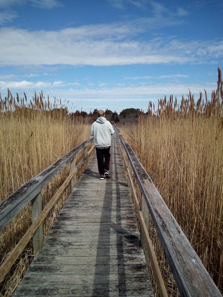 Dune Road