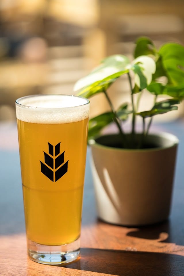 Barn Hammer Brewing
