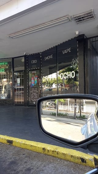 Canna Ocho