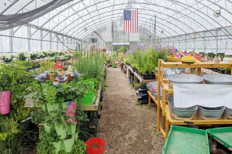 Jenâs North Shore Nursery