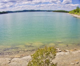 Willow Grove Resort & Marina